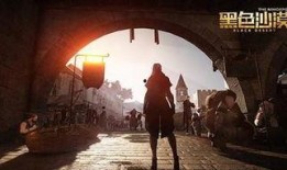 最新沙漠爆料,探寻未知的神秘世界